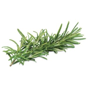 Fresh Rosemary