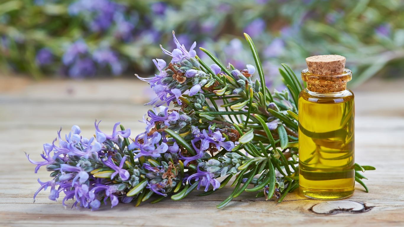 Rosemary Oil