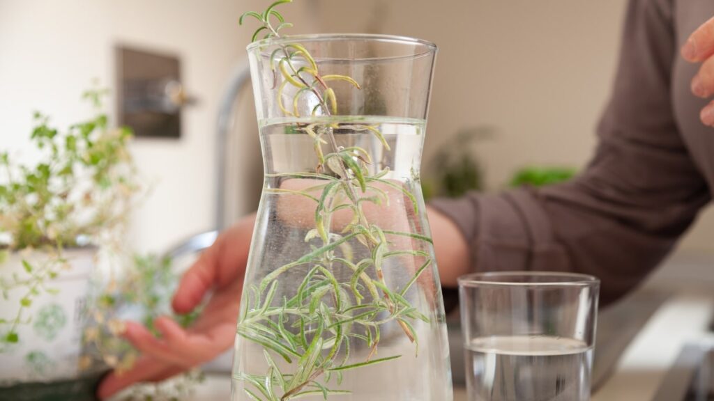 Rosemary water