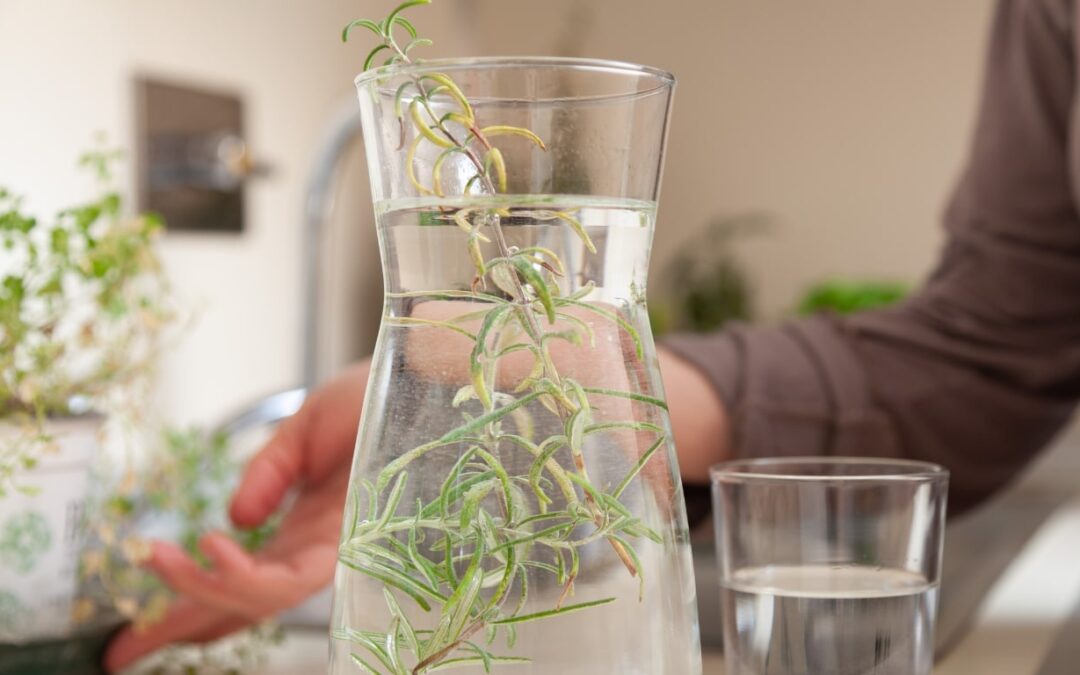 Rosemary Water Uses and Health Benefits