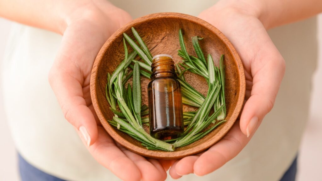 rosemary extract benefits