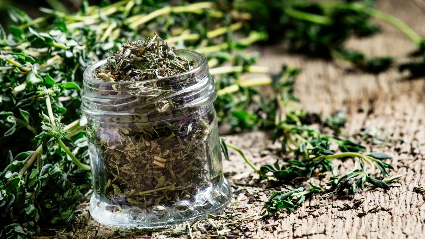 drying thyme