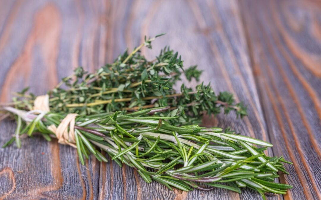 Thyme vs Rosemary, A Comprehensive Comparison