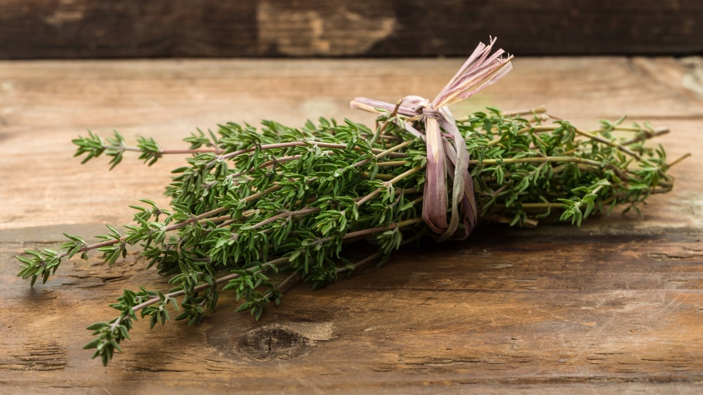 thyme herbs