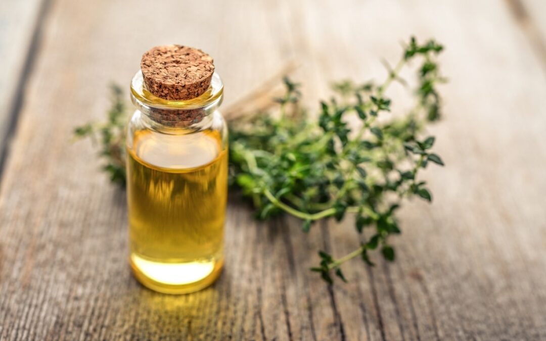 Thyme Oil: A Comprehensive Guide to Benefits, Uses, and Safety