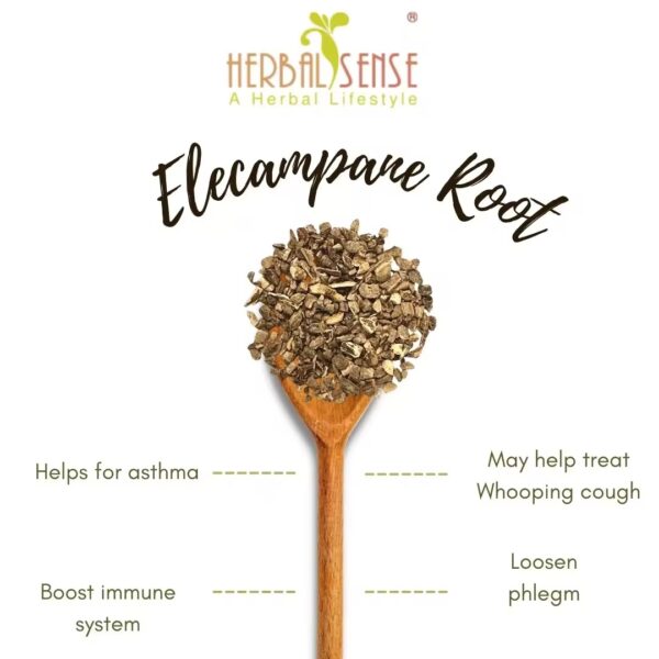 Elecampane Roots Benefits