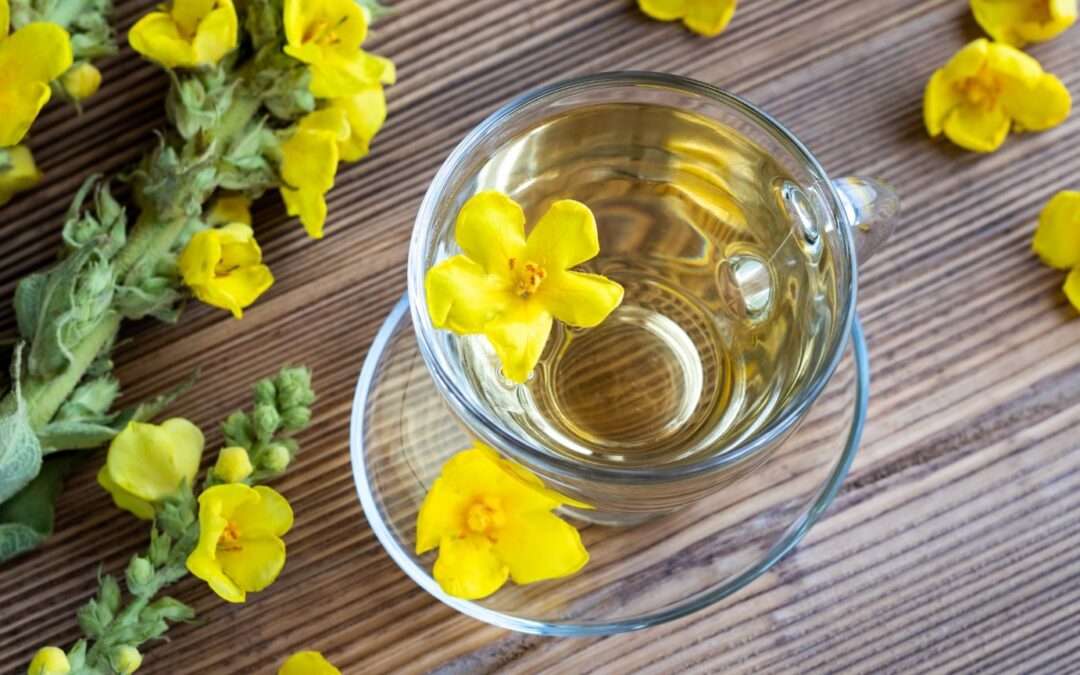 Best Herbs for Lungs and Respiratory Health