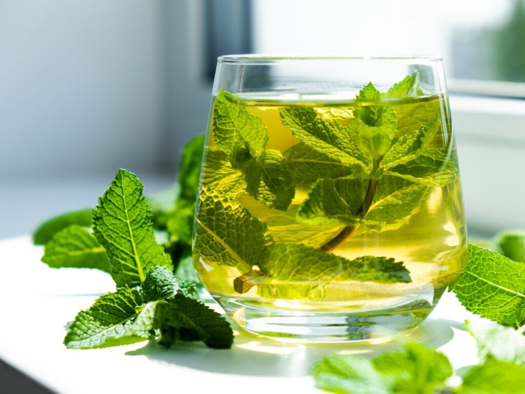 Medicinal uses of mint leaves and Lemon Balm
