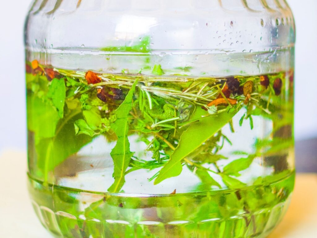 Thyme liqueur production